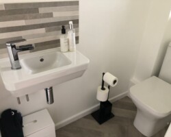 toilet renovation image 11
