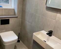 toilet renovation image 2_8